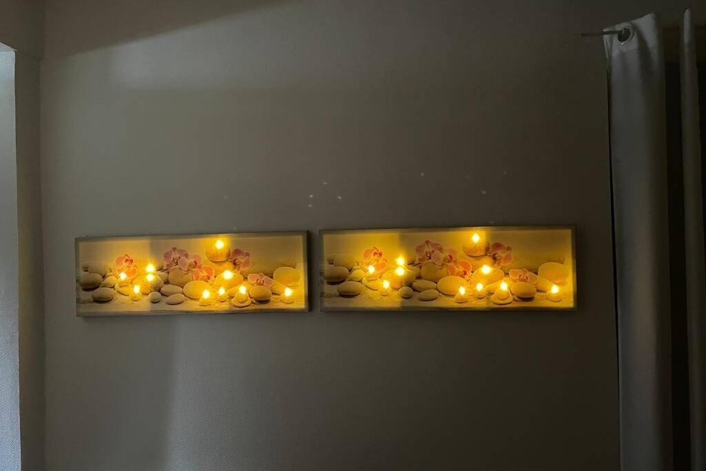 Logement Entier 33 M2 A Pau Exteriör bild